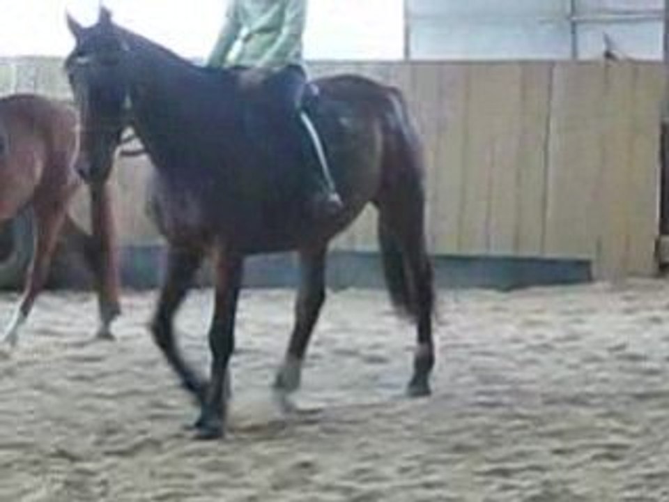Paquito 020