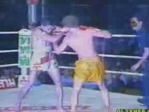 Ramon Dekkers vs Nangpon Lumpinee Part3