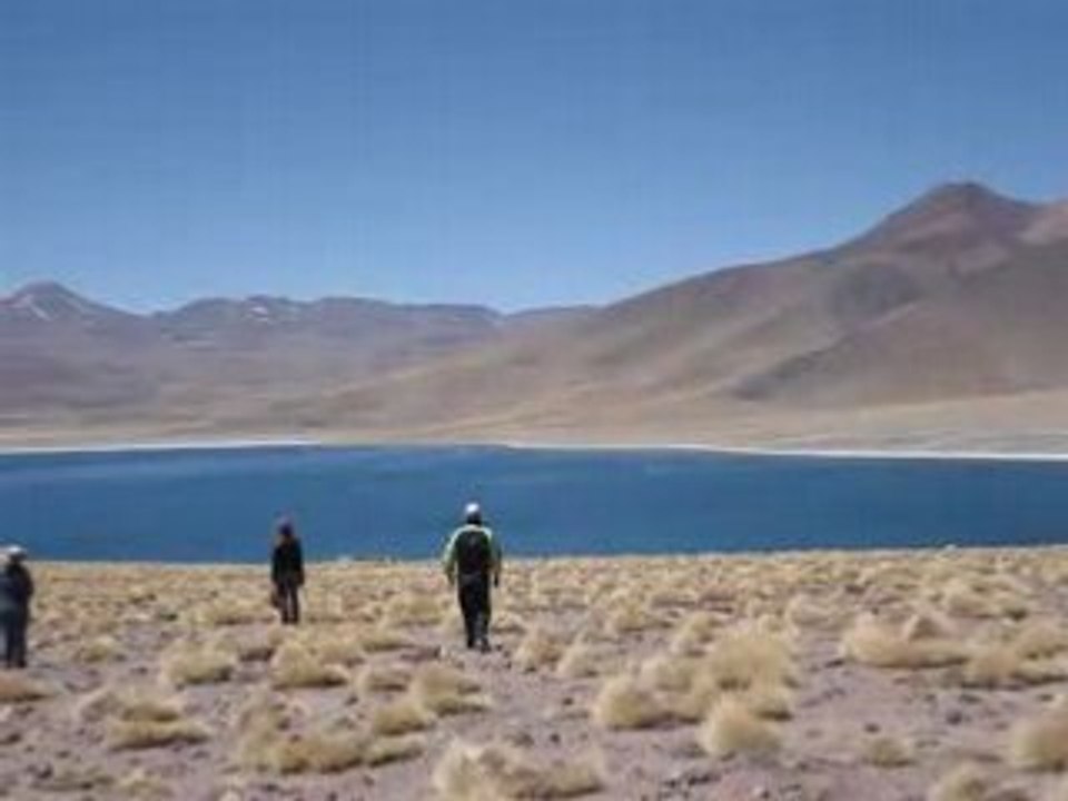 LAGUNA MISCANTI  - DESERTO di ATACAMA (Cile)