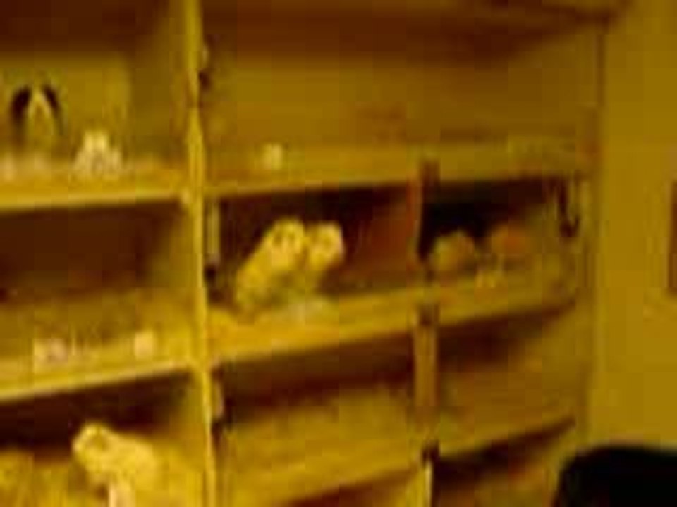 MOV02198