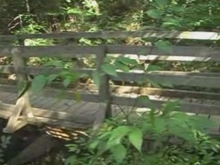 Narconon of Georgia gives back to the community Pt 1