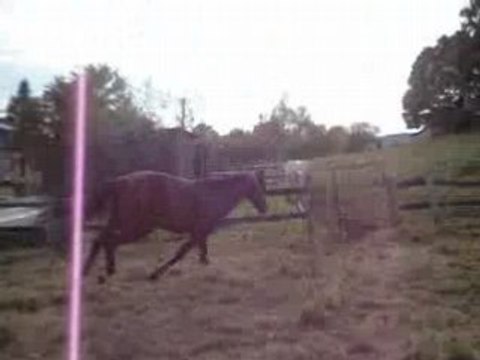 Opium saut en liberté