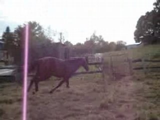 Opium saut en liberté