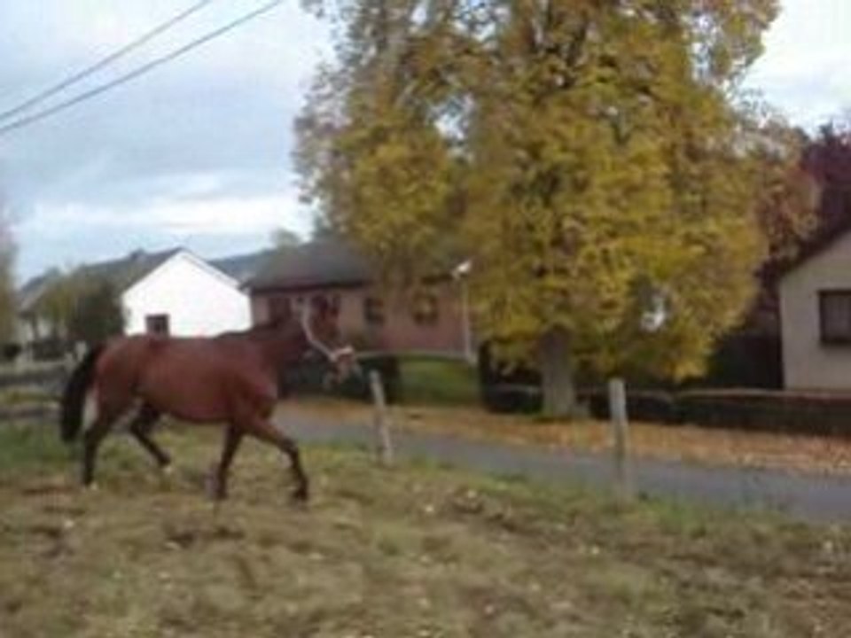 Opium saut en liberté 2