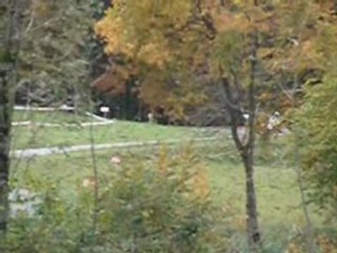 Rallye des Bauges 2008 ES5