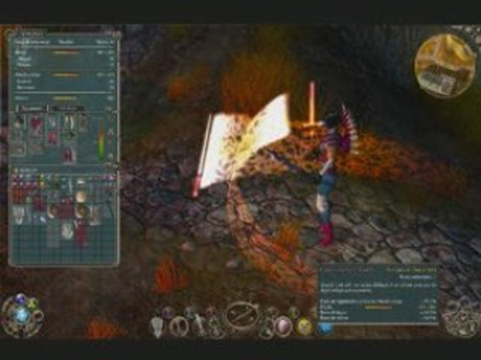 Sacred2-SeraphinIG