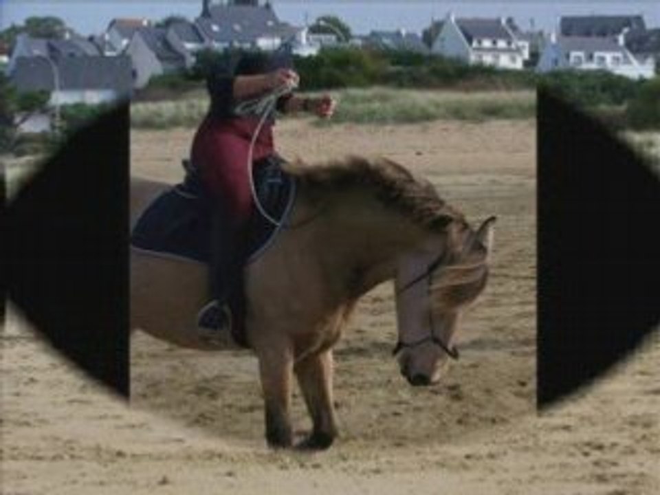 Plage du 12-10-08