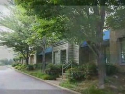 Narconon of Georgia students give back to the community Pt 3