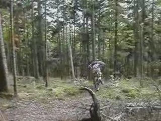 Dh barr  Elsass Crew