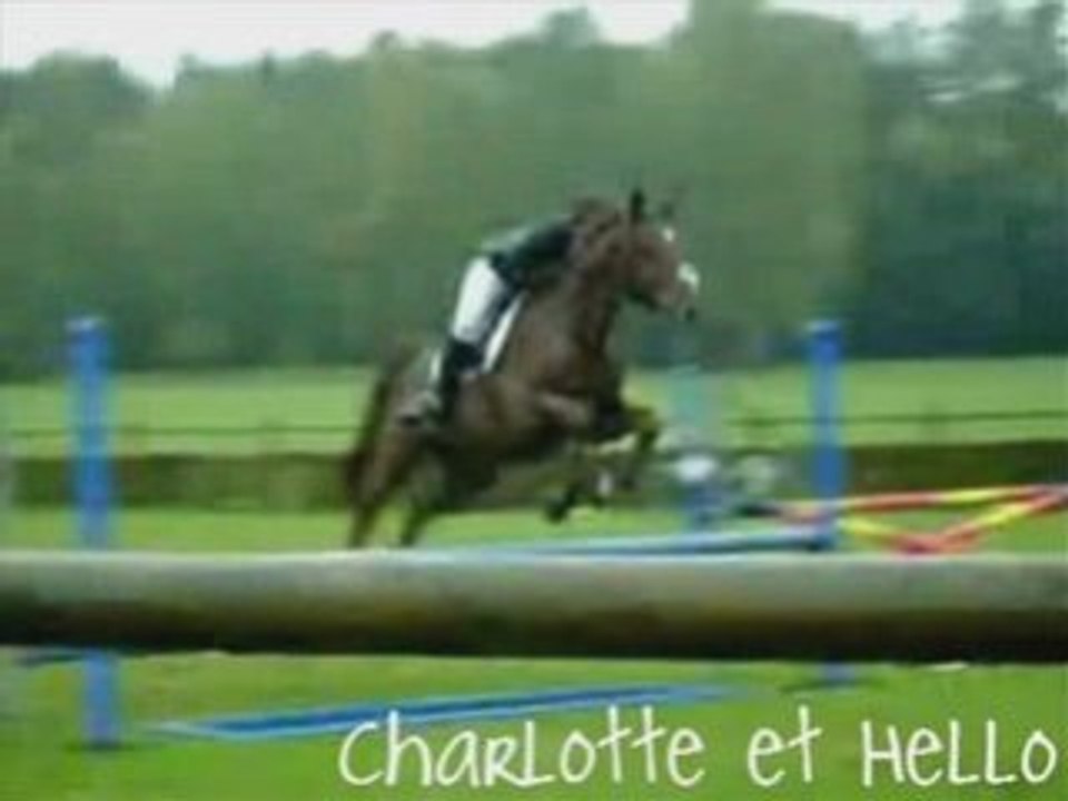 Concours à l'Etrier ardennais (05/10/08)