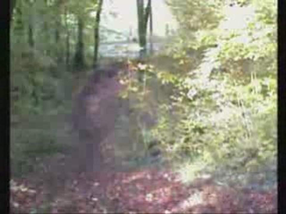 Le tonton rode le 250 excf 2009