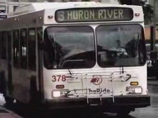 WHAT YOU DON'T KNOW: BUSES - TALLY HALL'S INTERNET SHOW