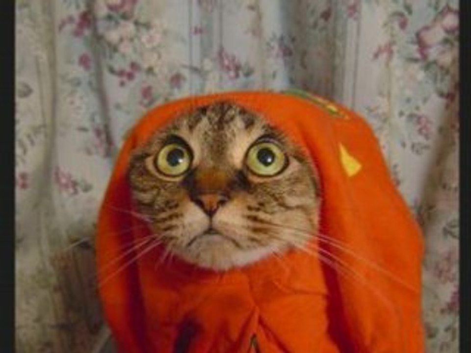 QUELQUES INSTANTS DE RIRES