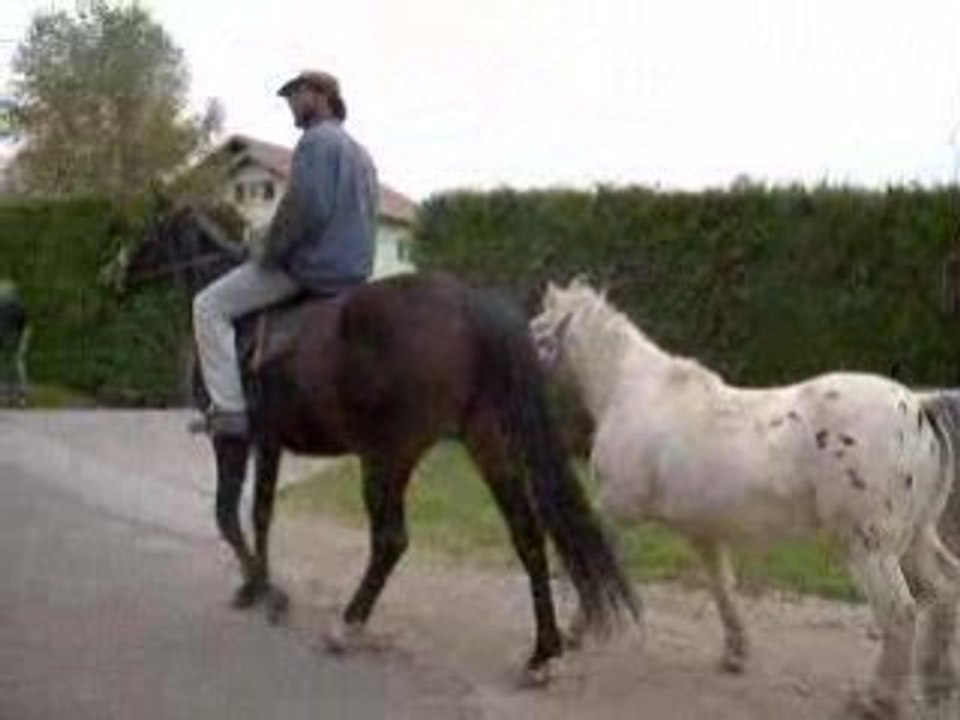 Cédric sur Saga