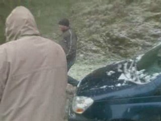 Drole funny alger [A NE PAS RATER]