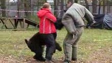 Стольный град Атаман - защита   (продолжение)