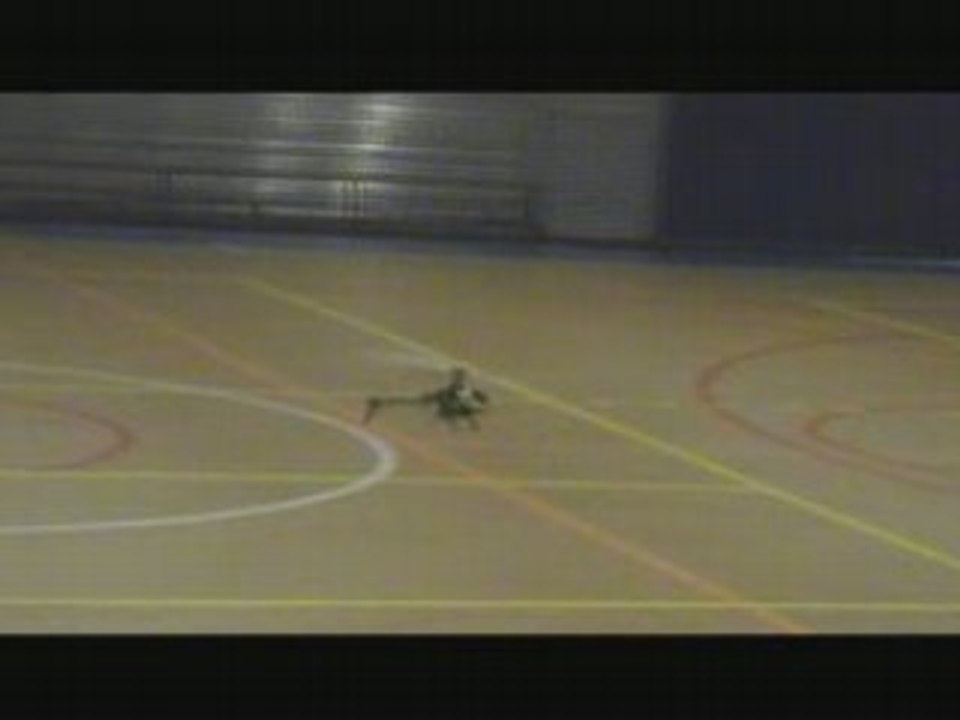 T-rex 450s épisode 1