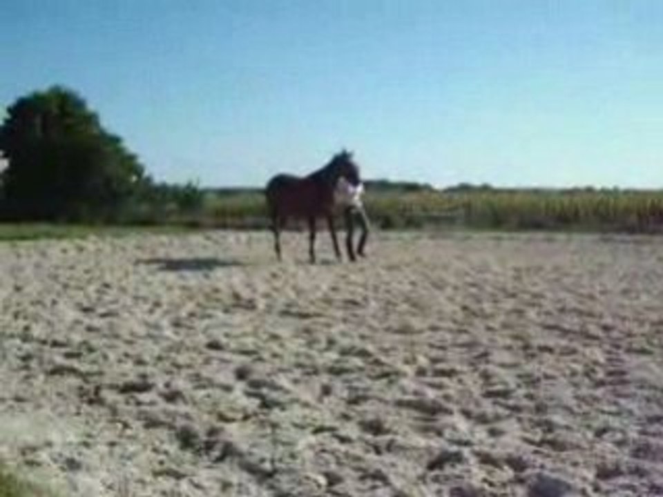 Fofi et Feli 13 sept 2008