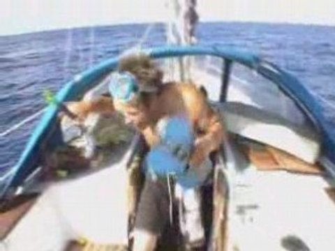 baleine rorqual dans le golf de gascogne sur le Saï-Saï