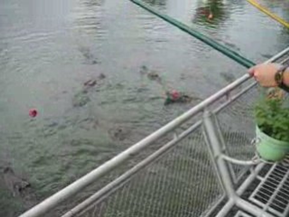 Peche au gros Viet-Nam