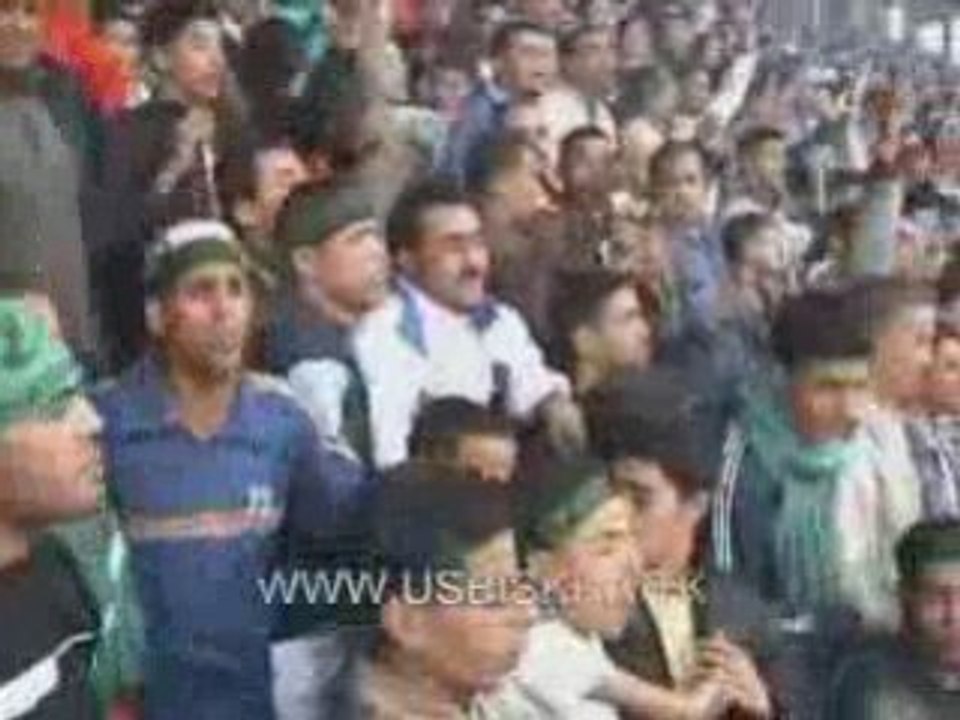 WALOU (2004)