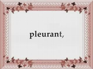 Shaikh Idriss abkar Sourate Al Isra