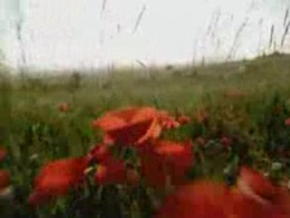 Mustafa Filmi Fragmanı