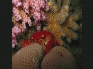 Les vacances d'Objectif Bulles et Archimède en Egypte