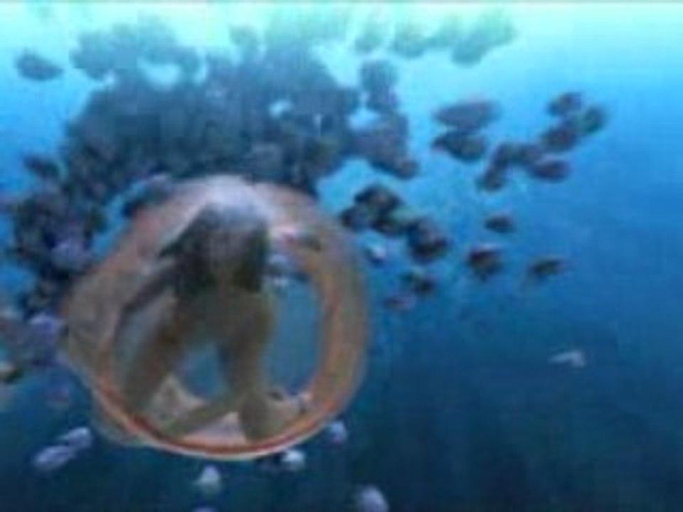 AIDES TBWA/París & Minivegas production Social Ad GIRL