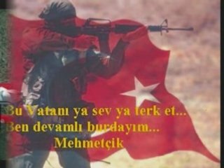 ülkücü REİS