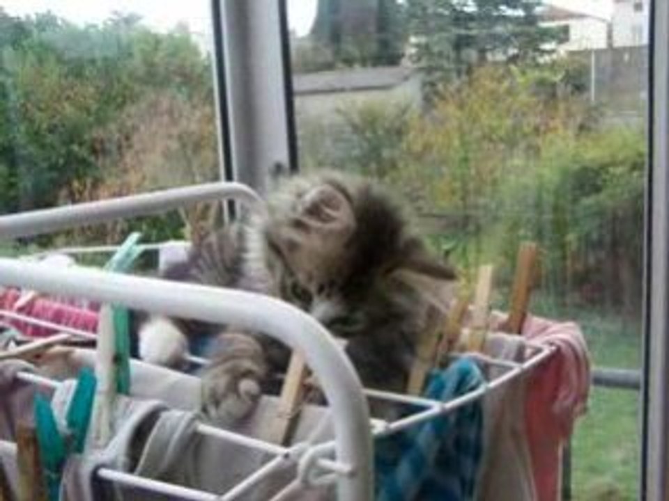 Divers automme 2008 142