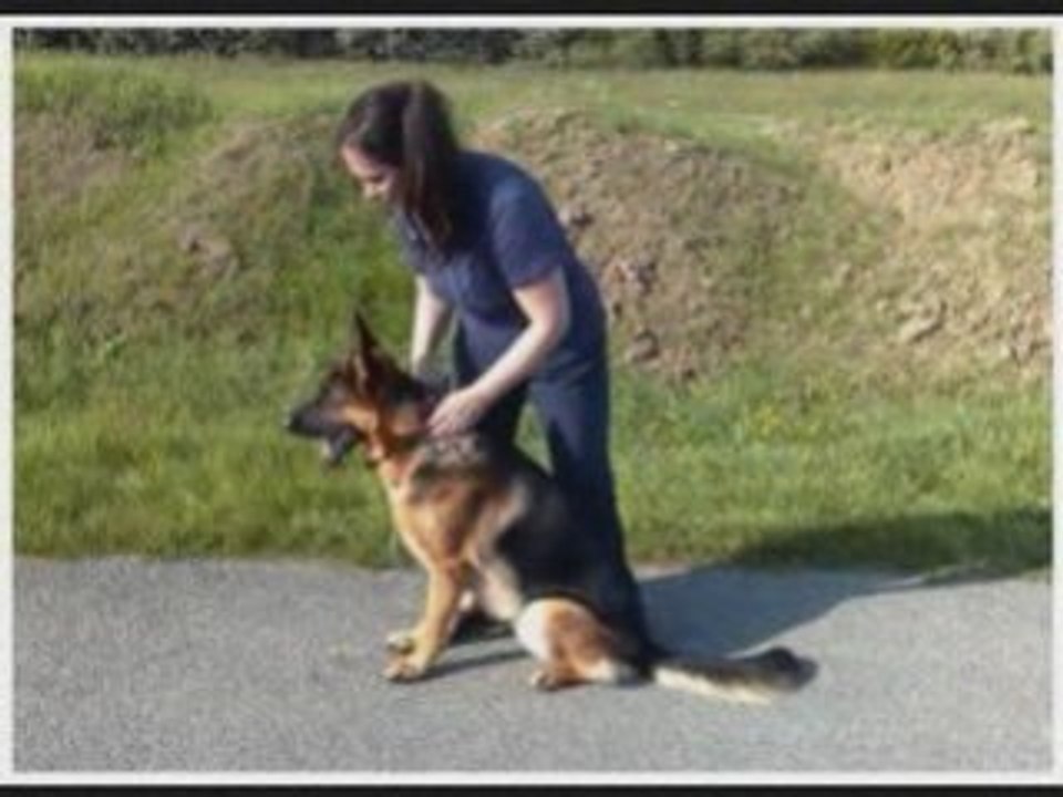 Cyrius bateau août 2008