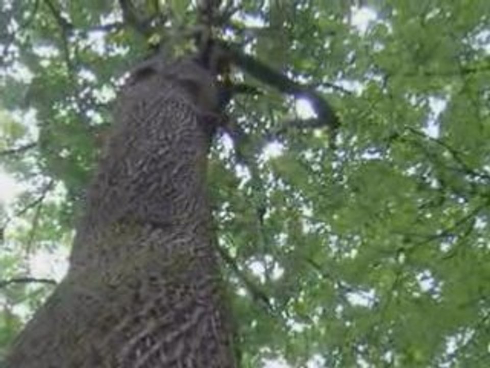 Depeche mode - nothing's impossible