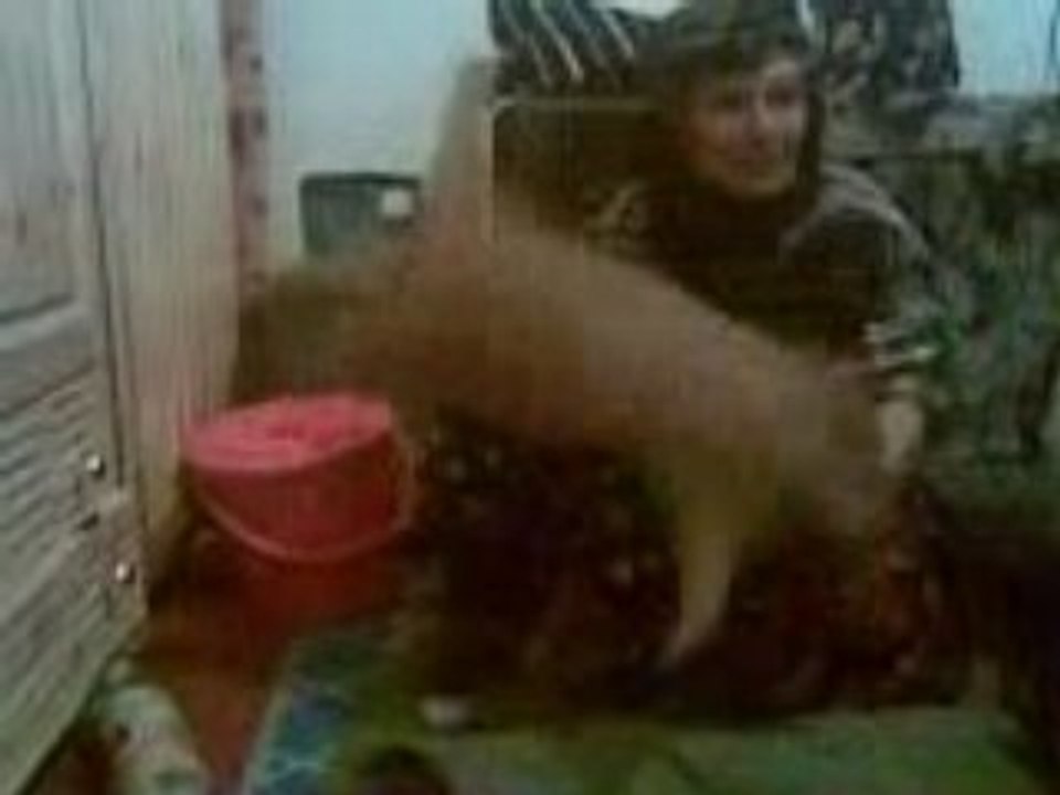 يادار وينهم