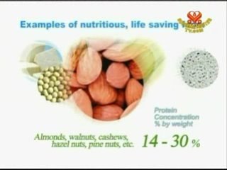 Soul Vegetarian:Food That Nourishes the Soul - Part 3