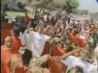 Bloods & crips  "Shuda Beena B-Dog"