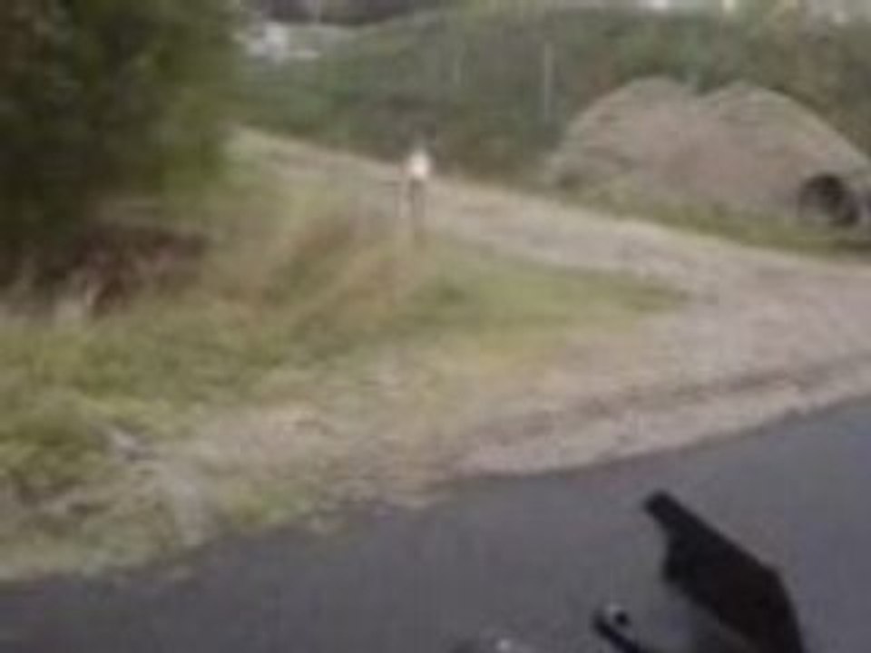 damien en roue