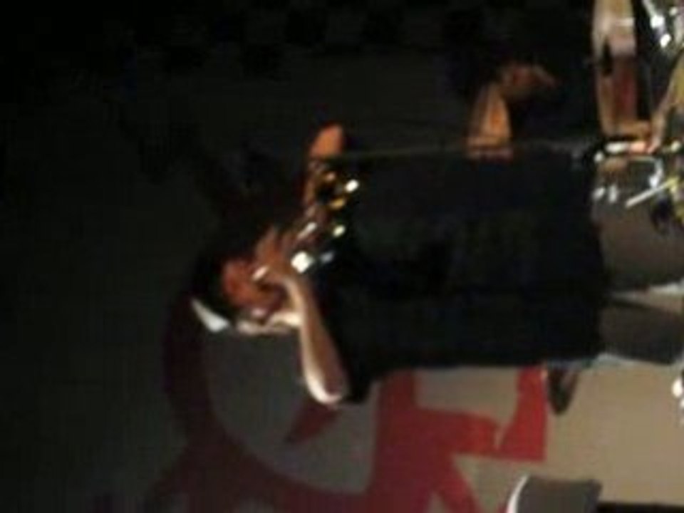 Concert Killerpilze 081