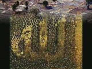 tunisie Miracles du Dieu