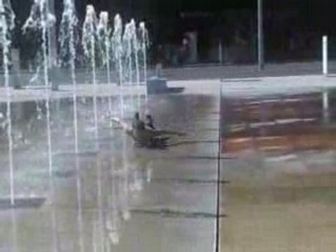 Délires de la team sur la place des nations