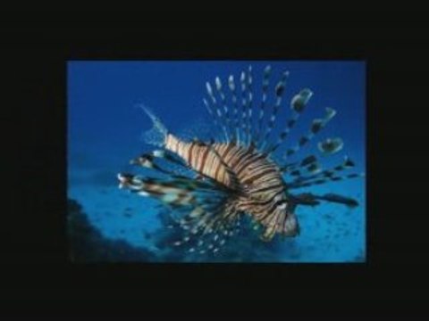 HolidayDealer.com - Low prices. Great holidays. Book now. 2