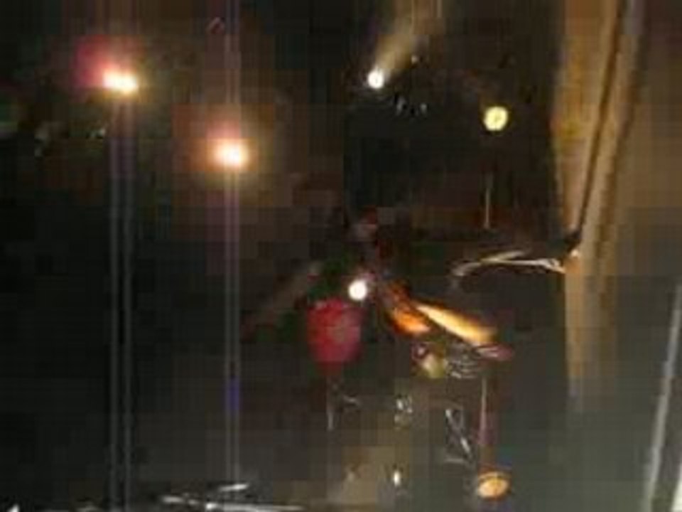 Concert Killerpilze