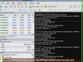 Live Account (2008-10-12) FOREX Expert Advisor 6