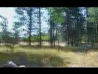 Alberto Poli, Giacomo Pini - Summer '08