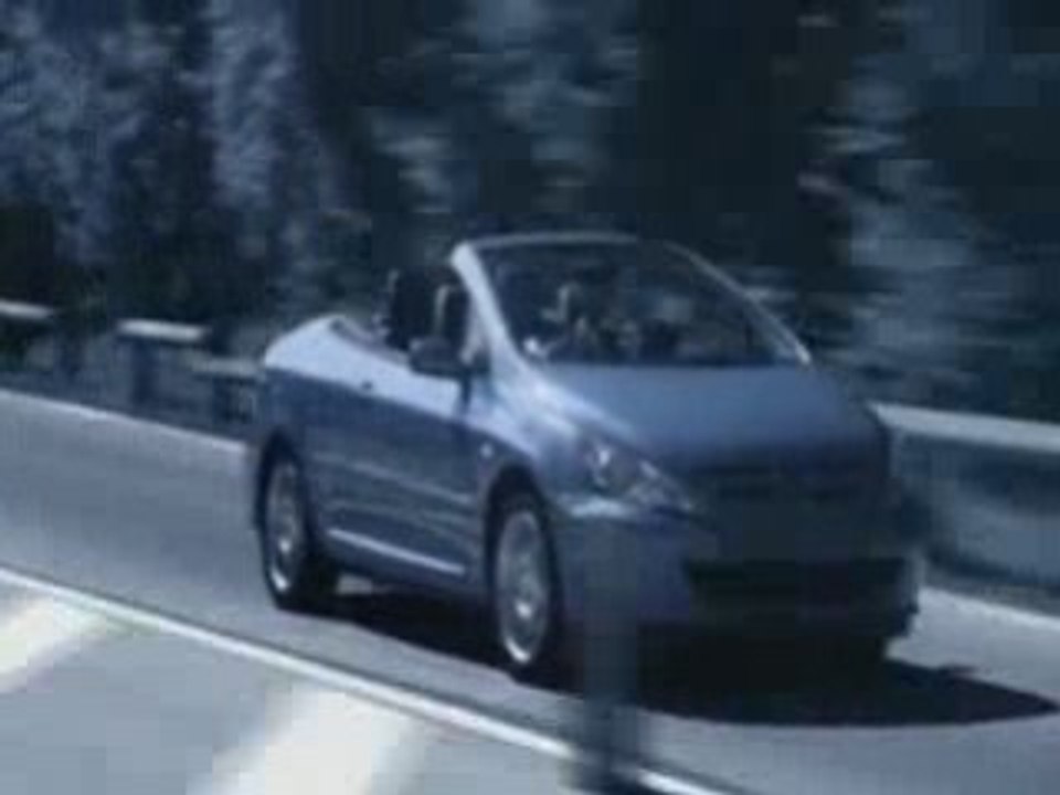 Shneider 2 .avi