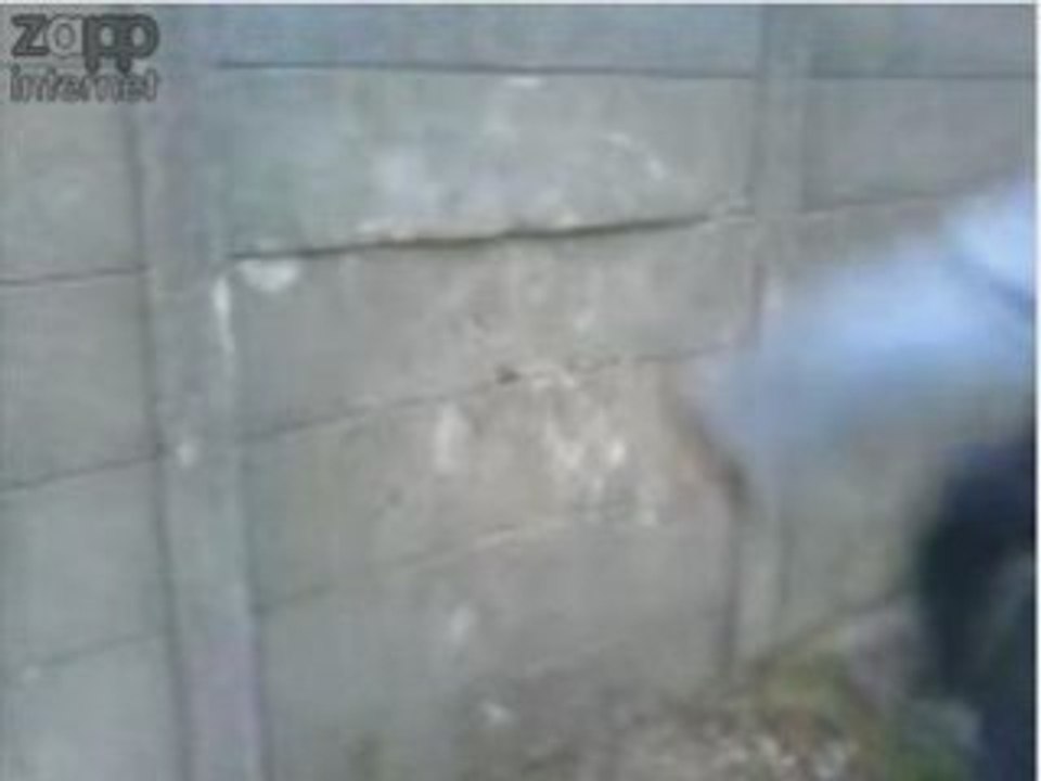 Mur video a voir