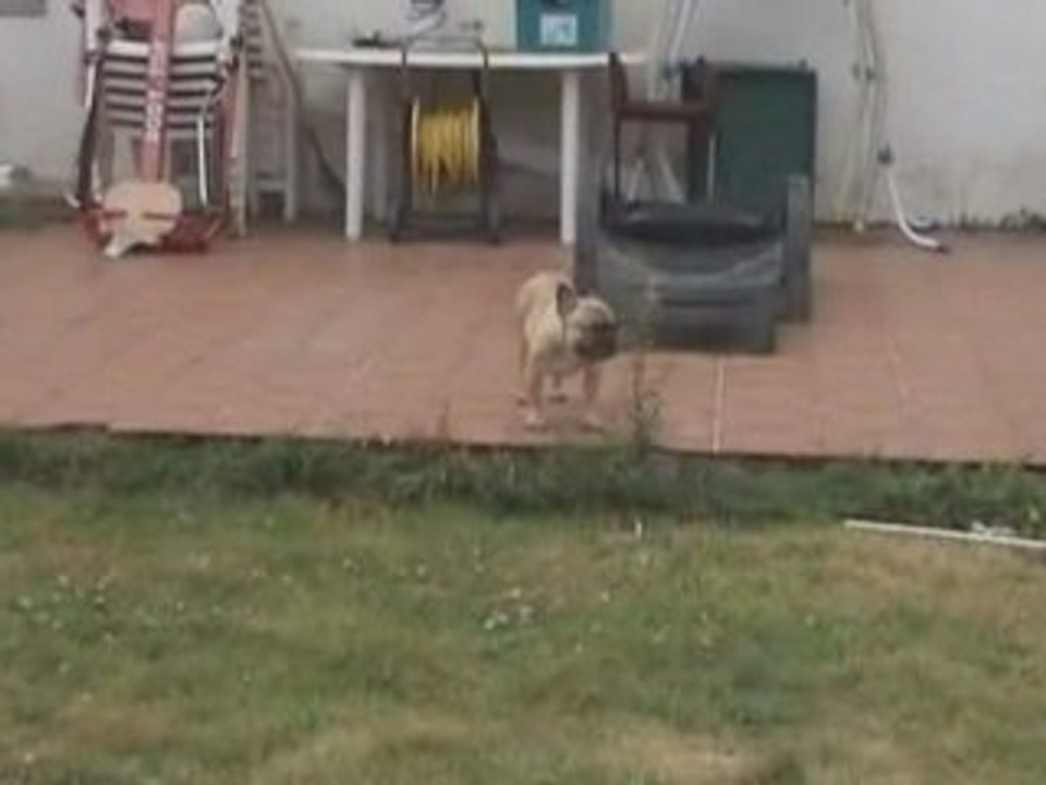 Yu à Nantes - Eté 2008