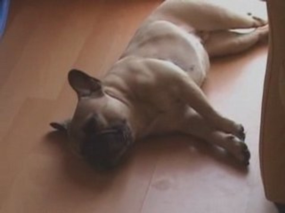 Yuna crevée - Eté 2008