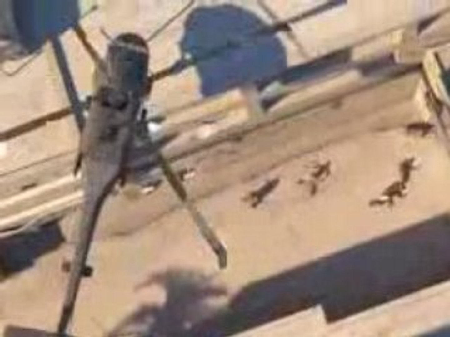 ⁣50cent/50 CENT BLOOD ON THE SAND (SUPER HD QUALITY)