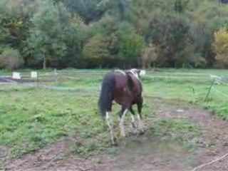 Octobre14 2008 5eme cours longé